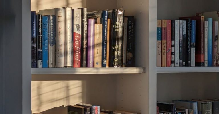 Continuing Education - Doves in late afternoon winter light. 4pm, January 14, 2024.